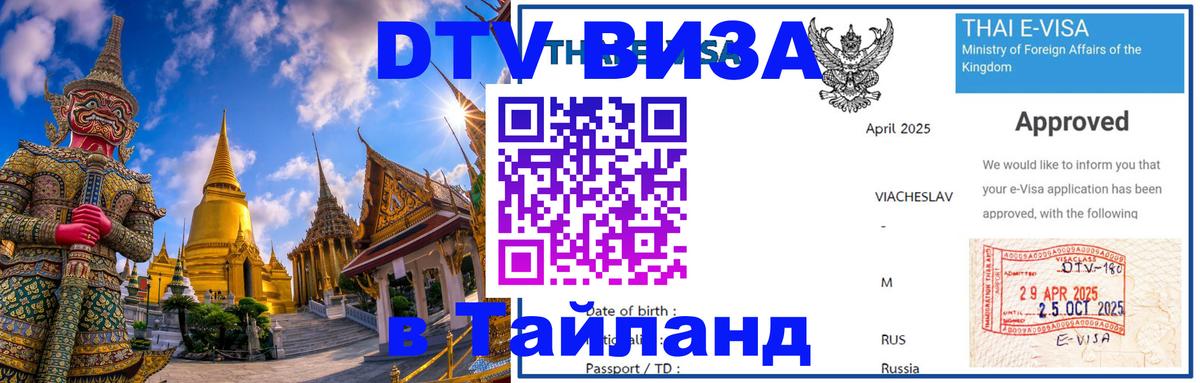 Оформление DTV визы под ключ: стоимость и тарифы, только загранпаспорт - 21.11.2025 